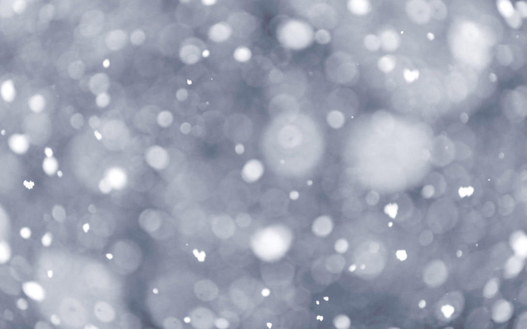 Schools Closed – December 2