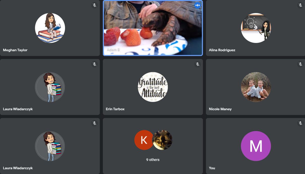 Tortoise eating fruit during Google Meet presentation