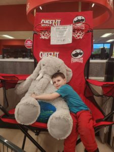 A student with Veda the stuffed elephant at Hannaford in East Greenbush
