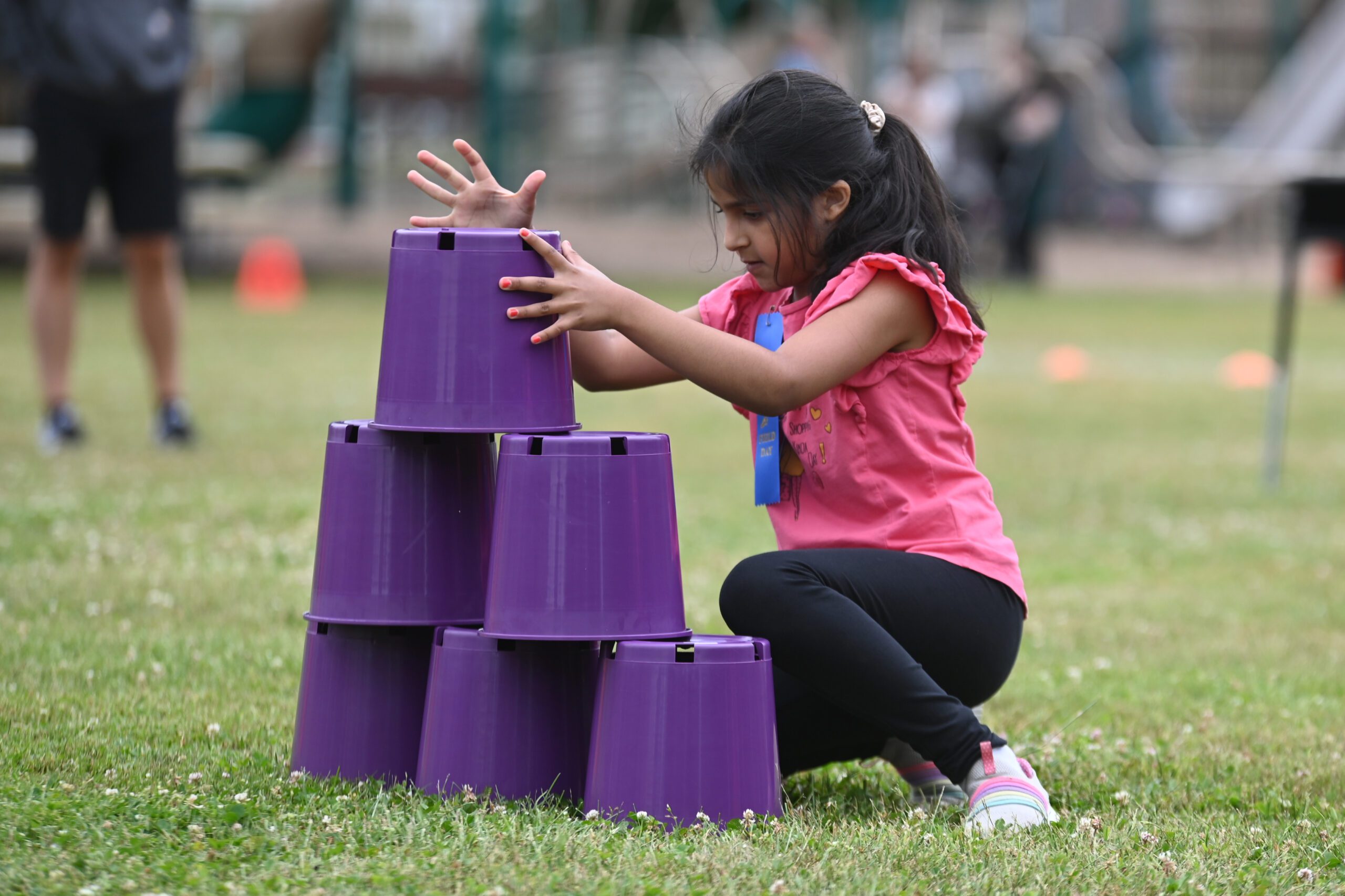 Green Meadow Field Day 2024