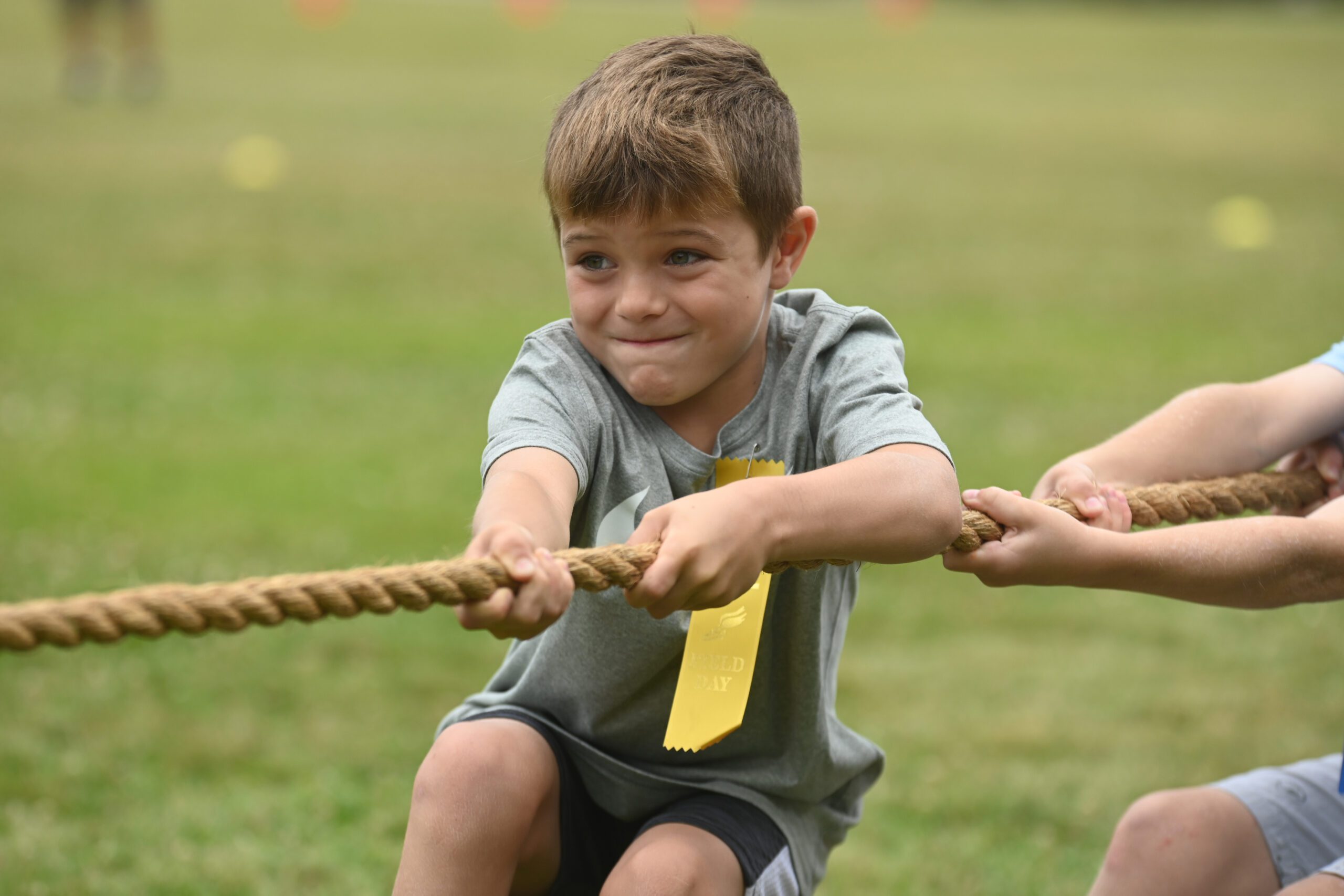 Green Meadow Field Day 2024