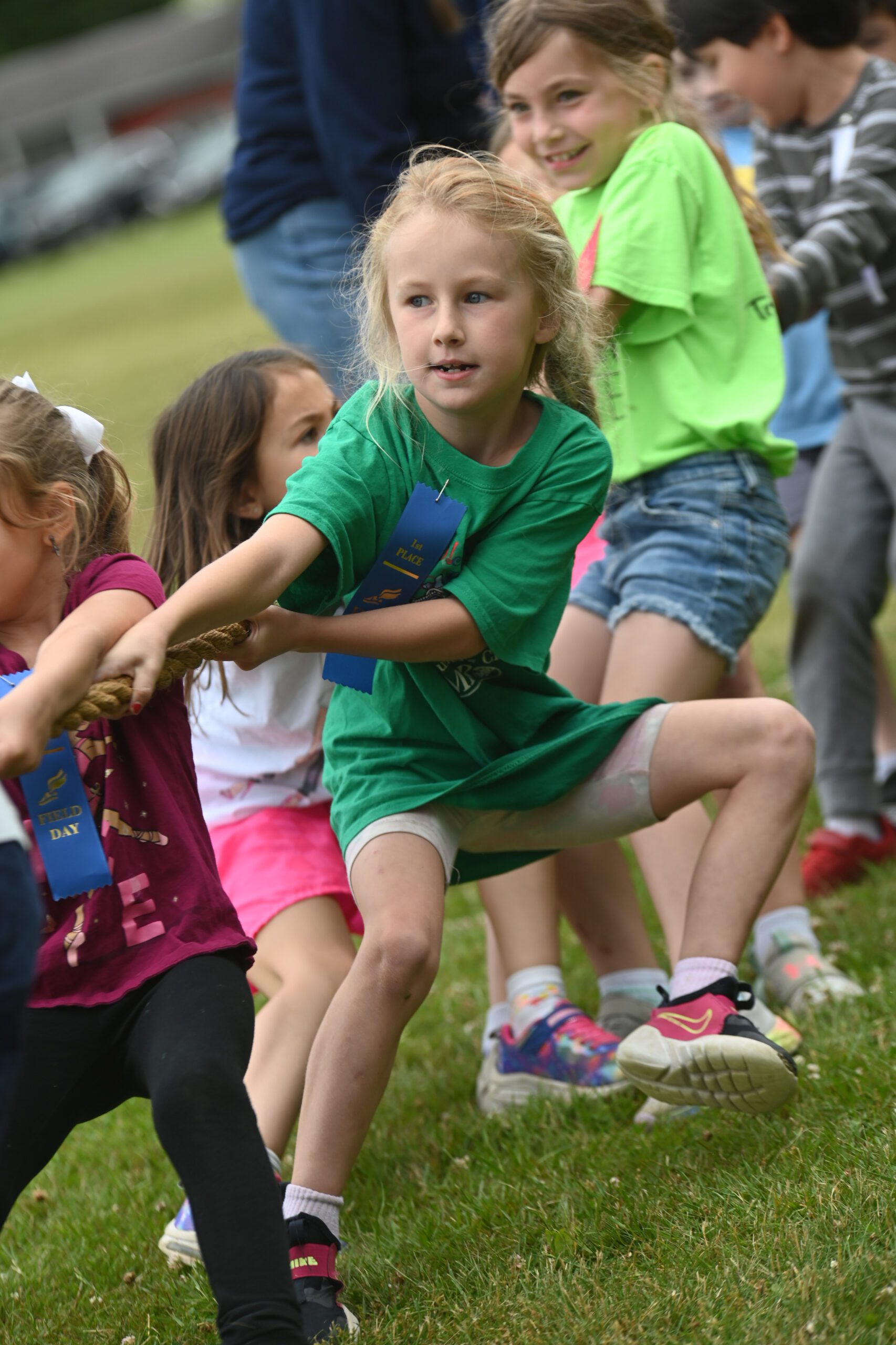 Green Meadow Field Day 2024