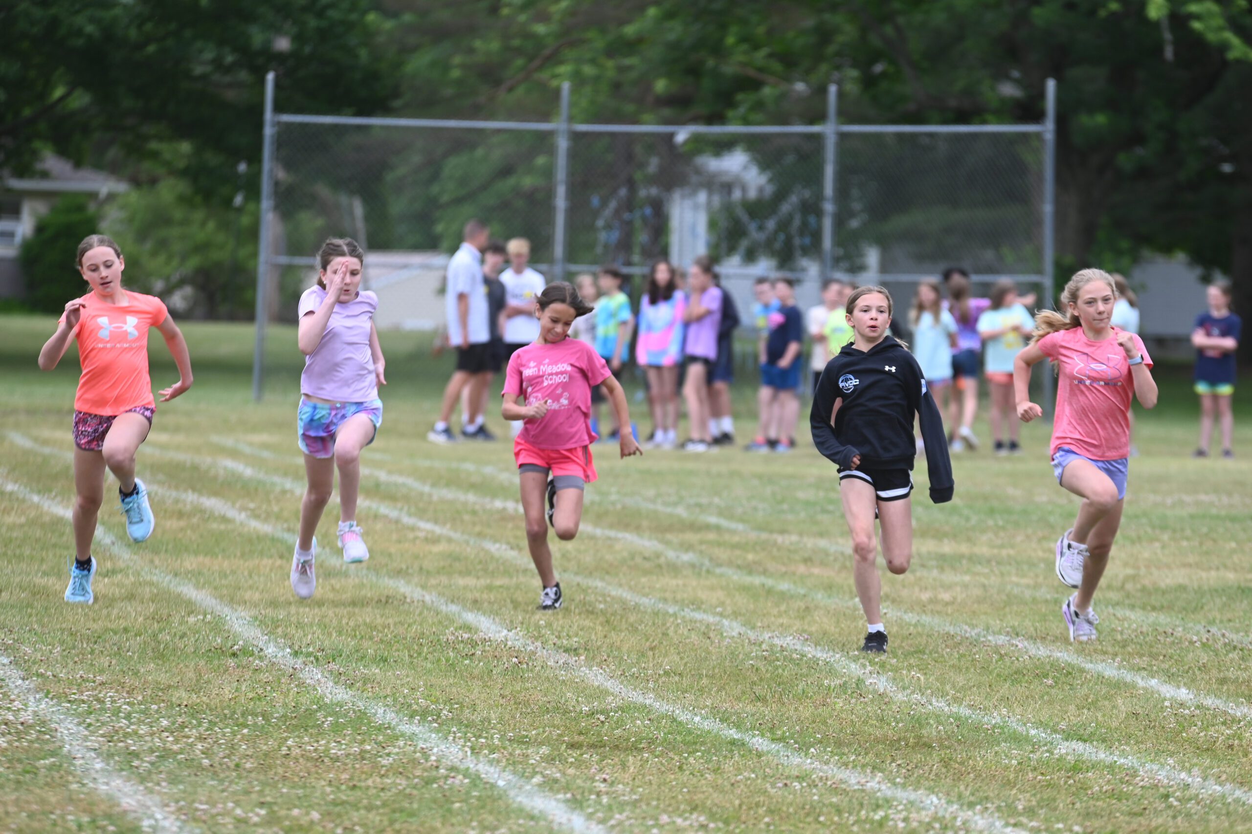 Green Meadow Field Day 2024