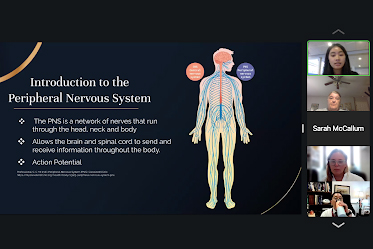 Ei Aung presentation screenshot