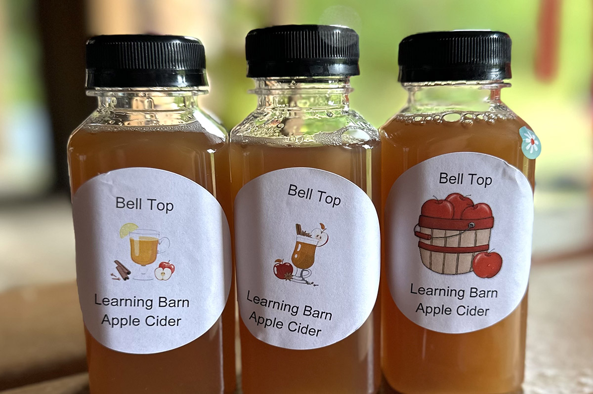 Learning Barn Apple Cider bottles