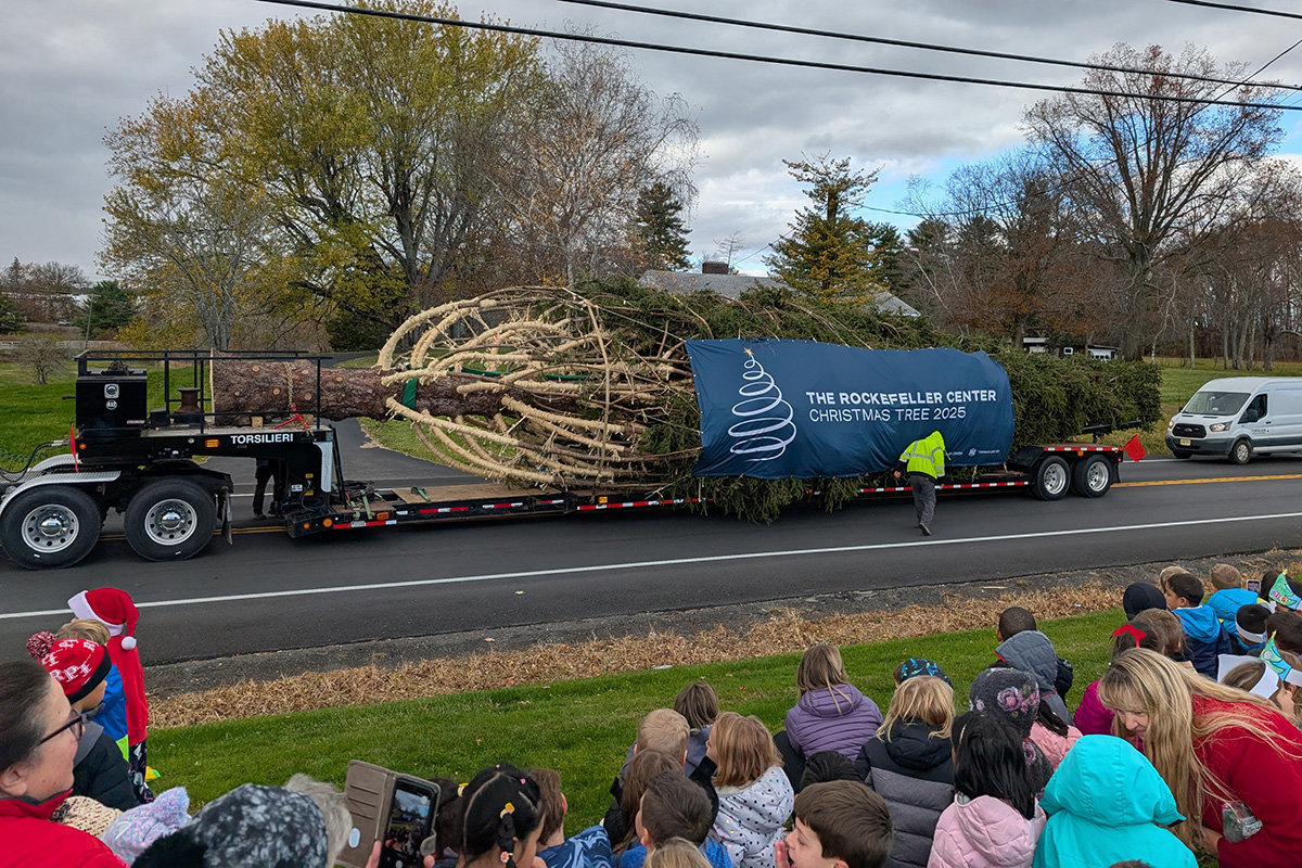 Rockefeller Center Christmas Tree on a flatbed truck in front of Genet Elementary School
